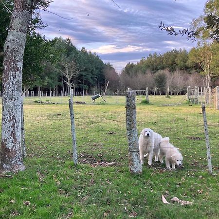 فيلا Pinos De La Quebrada Quebrada de los Cuervos المظهر الخارجي الصورة