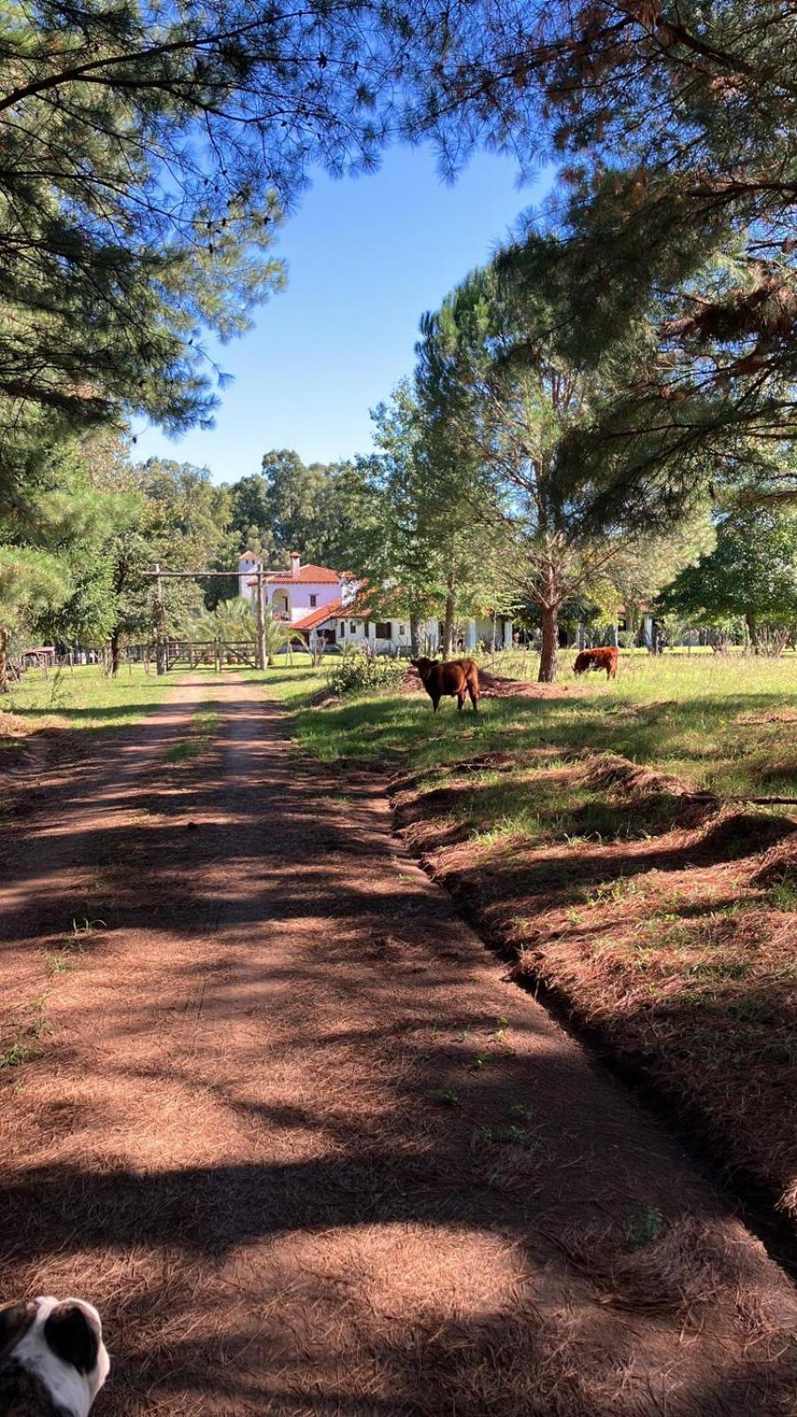 فيلا Pinos De La Quebrada Quebrada de los Cuervos المظهر الخارجي الصورة