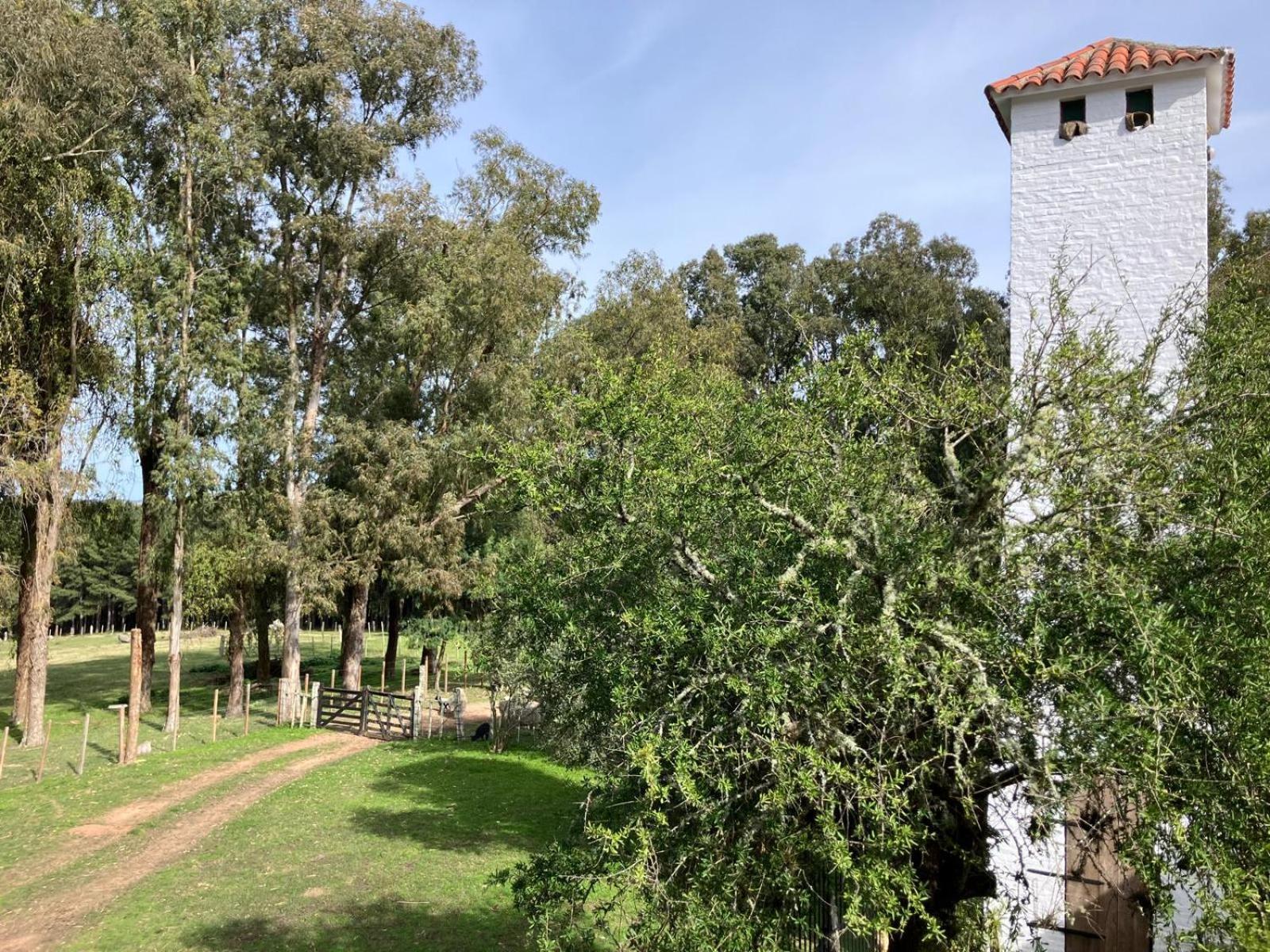 فيلا Pinos De La Quebrada Quebrada de los Cuervos المظهر الخارجي الصورة